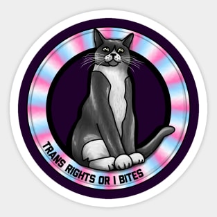 Trans Rights Or I Bites Cat Sticker